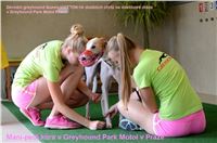 Chrti_dostihy_6_Praha_Greyhound_Racing_Paddock.jpg