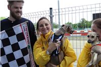 Chrti_dostihy_Praha_Greyhound_Racing_Paddock_34.jpg