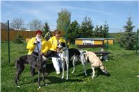 Chrti_dostihy_Praskacka_Greyhound_Racing_Paddock_2.jpg