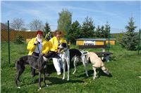 Chrti_dostihy_Praskacka_Greyhound_Racing_Paddock_2.jpg