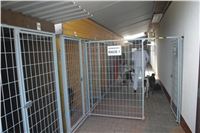 Chrti_dostihy_Praskacka_Greyhound_Racing_Paddock_3.jpg