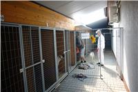 Chrti_dostihy_Praskacka_Greyhound_Racing_Paddock_4.jpg