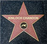 Chrt_dostihy_Oskari_akce_Golden_Awards_Greyhound_Park_Motol_star_KINLOCH CHANDON.jpg