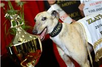 Chrt_dostihy_Oskari_Golden_Greyhound_Awards_Park_Motol_IMG_5014_bagarova_Mottlova_Dejdar.jpg