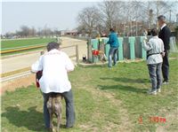 Chrt_dostihy_Praskacka_April_Cup_2004_074.JPG Chrt_dostihy_Praskacka_April_Cup_2004_074.jpg