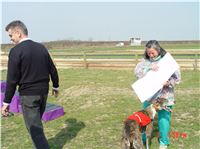 Chrt_dostihy_Praskacka_April_Cup_2004_084.JPG