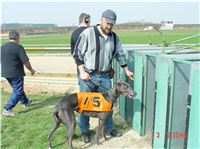 Chrt_dostihy_Praskacka_April_Cup_2004_108.JPG Chrt_dostihy_Praskacka_April_Cup_2004_108.jpg