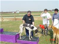 Chrt_dostihy_Praskacka_April_Cup_2004_134.JPG