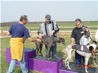 Chrt_dostihy_Praskacka_April_Cup_2004_139.JPG
