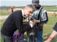 Chrt_dostihy_Praskacka_April_Cup_2004_142.JPG Chrt_dostihy_Praskacka_April_Cup_2004_142.jpg
