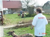 Chrt_dostihy_Praskacka_April_Cup_2004_155.JPG Chrt_dostihy_Praskacka_April_Cup_2004_155.jpg
