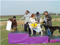 Chrt_dostihy_Praskacka_April_Cup_2004_168.JPG