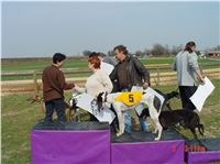 Chrt_dostihy_Praskacka_April_Cup_2004_169.JPG