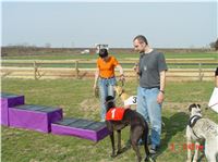 Chrt_dostihy_Praskacka_April_Cup_2004_174.JPG