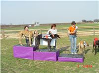 Chrt_dostihy_Praskacka_April_Cup_2004_186.JPG