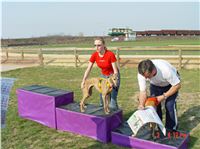 Chrt_dostihy_Praskacka_April_Cup_2004_206.JPG