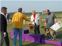 Chrt_dostihy_Praskacka_April_Cup_2004_217.JPG