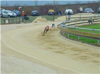 Chrt_dostihy_Praskacka_pohar_obce_2004_125.JPG